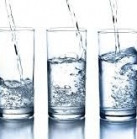 Сделать заказ сейчас